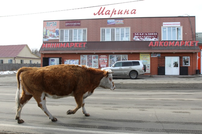«После очередной катастрофы с отравлением»: эксперт объяснил, к чему приведет ограничение продажи алкоголя с 1 марта