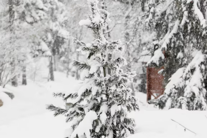 Обильные снегопады накроют европейскую часть России в четверг