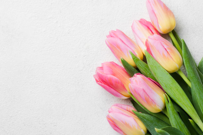 Букет тюльпанов к 8 марта в этом году обойдется россиянам почти на 7%