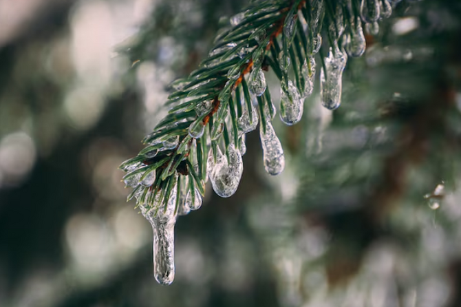 Ледяной дождь ожидается в Москве на этой неделе