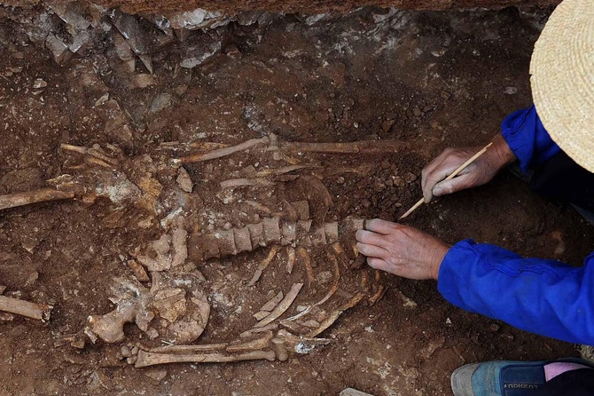 В Нидерландах могли найти останки мушкетера Д’Артаньяна