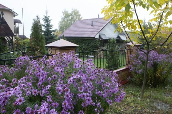 Россиянам рассказали, с чего начать подготовку участка к дачному сезону