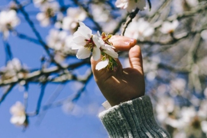 Синоптик рассказала о погоде в Москве на выходных