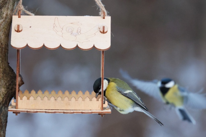 До восьми градусов тепла ожидается в Москве 10 марта
