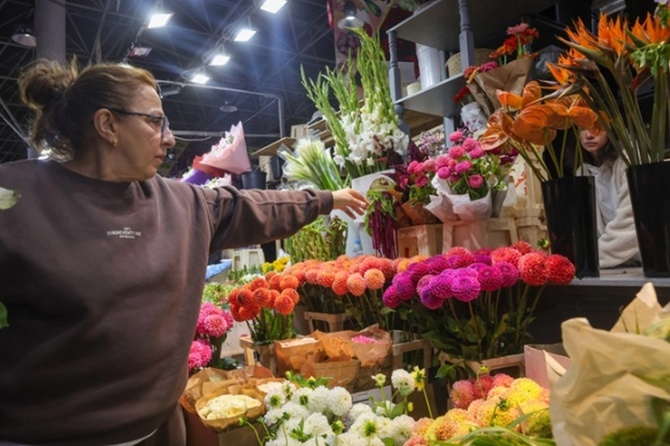 Депутат Ветров предложил ограничить рост цен на цветы перед 8 марта