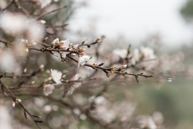 Теплая погода без существенных осадков ожидается в Москве до конца недели