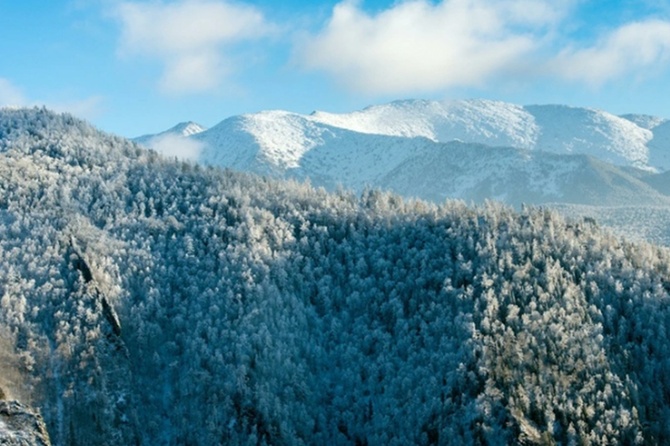 Эксперт прокомментировал информацию о второй машине в деле Усольцевых