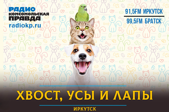 Обсуждаем со специалистами, чем кормить, как ухаживать и правильно заботиться о домашних любимцах. Подписывайтесь на наш подкаст, чтобы не пропустить рассказы о новых удивительных питомцах и правилах обращения с ними!