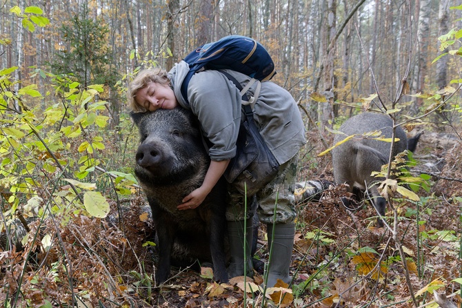 Мама для кабаненка