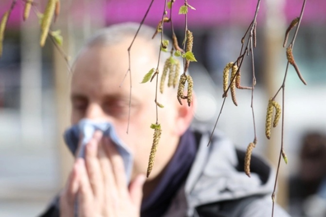 Иммунолог рассказала, где москвичи могут переждать сезон аллергии