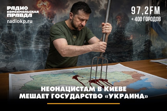 Неонацистам в Киеве мешает государство Украина