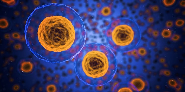 Доктор наук рассказал, может ли использование стволовых клеток вызвать рак 