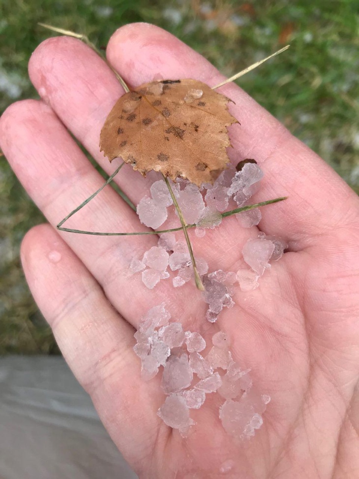 В Подмосковье выпал крупный град и прошел дождь