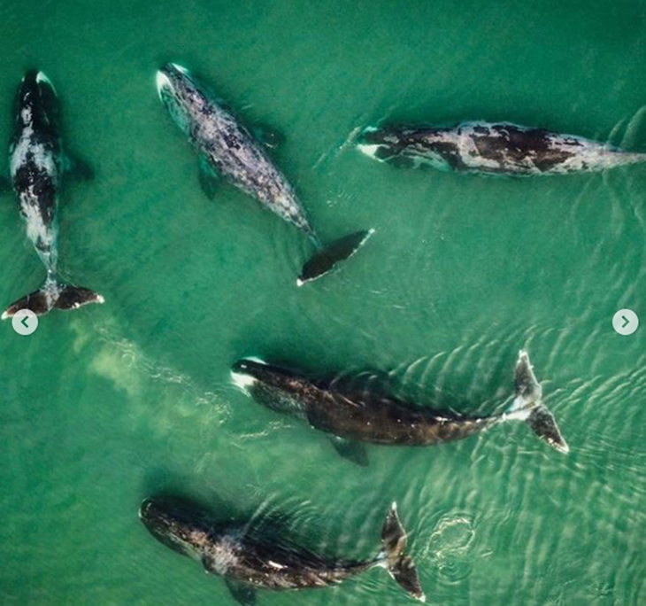 «Самая красивая страна»