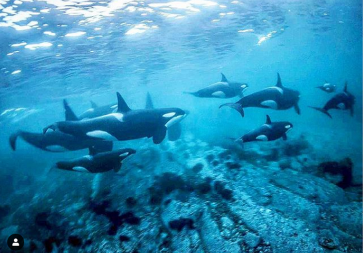 «Самая красивая страна»