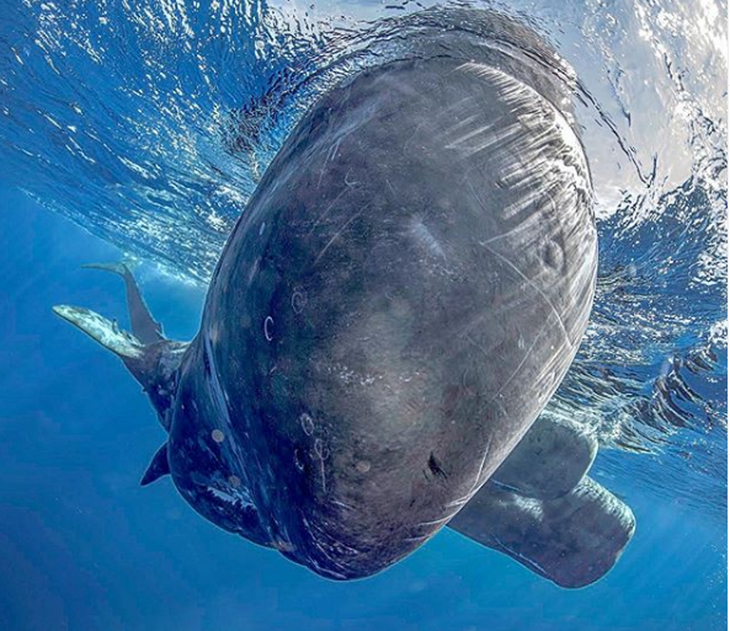 «Самая красивая страна»