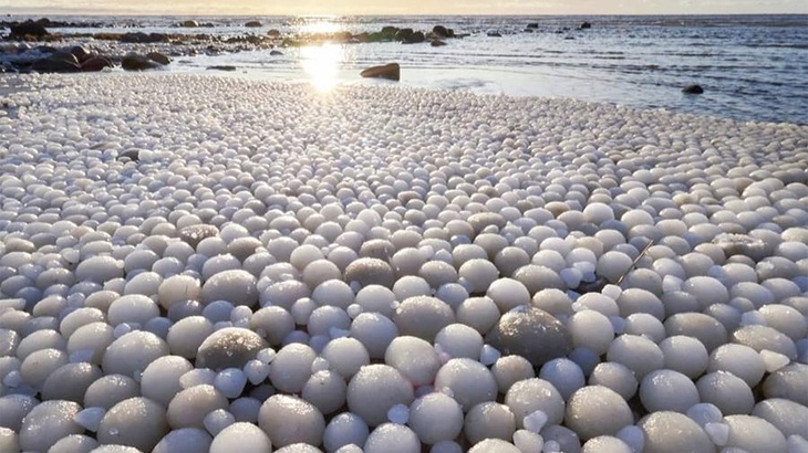 «Ледяные яйца» у берега Балтийского моря