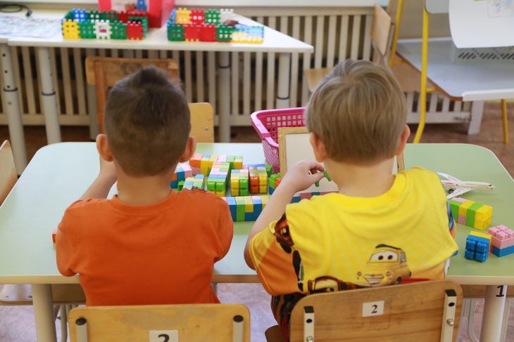 В Омске воспитательница заставляла детей вылавливать игрушки из унитаза