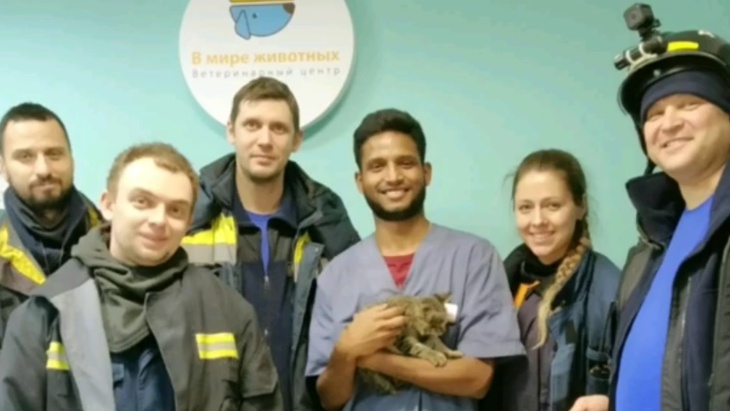 В Москве спасатели вытащили котенка из столба