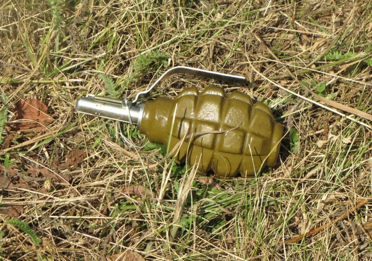 В Ейске на территории школы ученики нашли гранату 