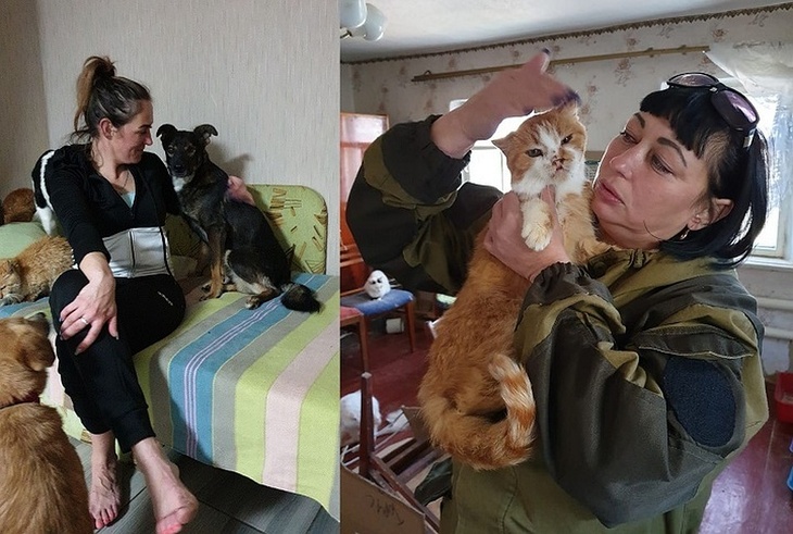 Екатеринбургские волонтеры спасают животных из Луганска 