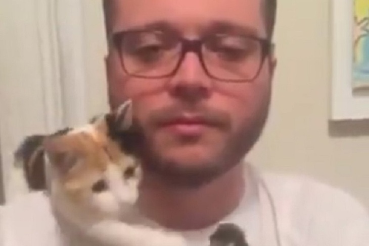 Хозяин получил по лицу от своего кота