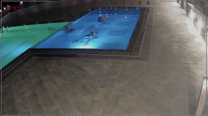 Медведи решили «отдохнуть» и покупаться в бассейне болгарского spa-салона