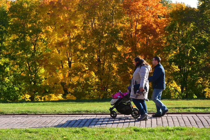 Родители на прогулке с детской коляской.