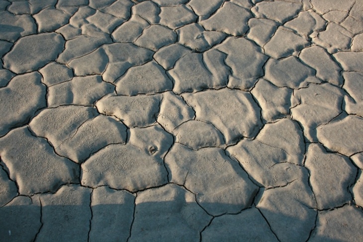 Трещины в земле после засухи