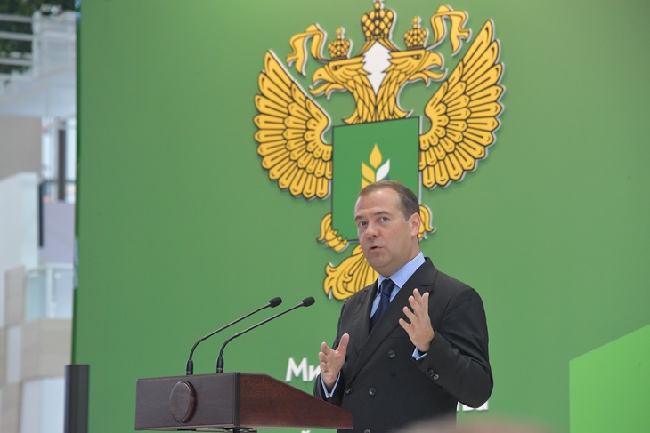 Медведев заявил о росте реальных доходов россиян