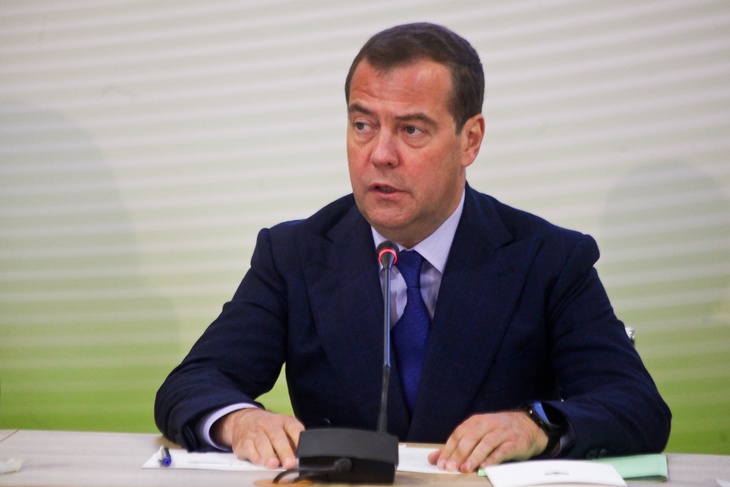 Премьер-министр РФ Дмитрий Медведев во время заседания совета при правительстве РФ по вопросам попечительства в социальной сфере.