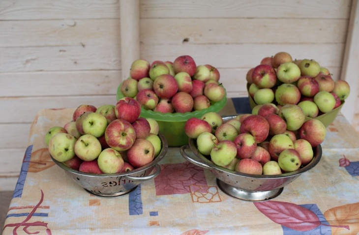 Парадокс: в России подскочили цены на яблоки, несмотря на рекордный урожай