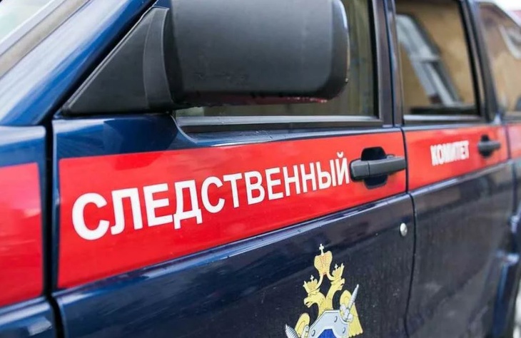 СКР возбудил дело после убийства двухлетней девочки на востоке Москвы