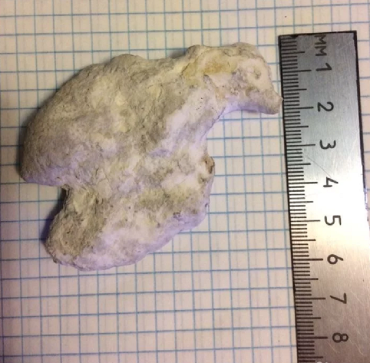 Находка жителя Архангельска