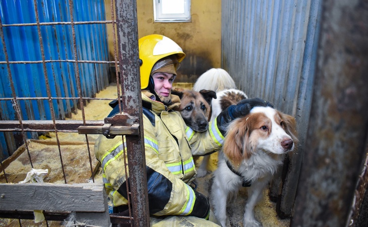 Пожарный в приюте