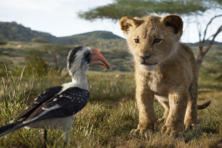 Кадр из фильма «Король лев» (2019г.)