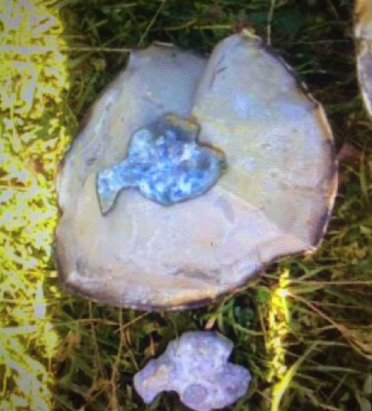 Находка жителя Архангельска