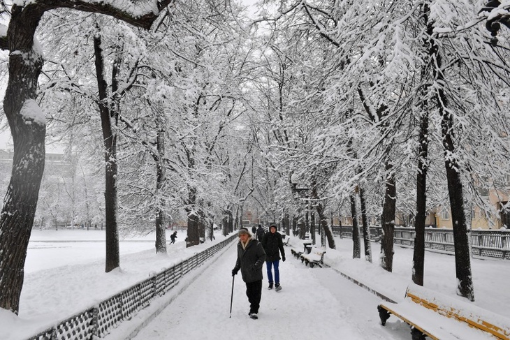парк в москве зимой
