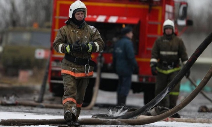 Почти 500 свиней сгорели при пожаре на ферме в Московской области