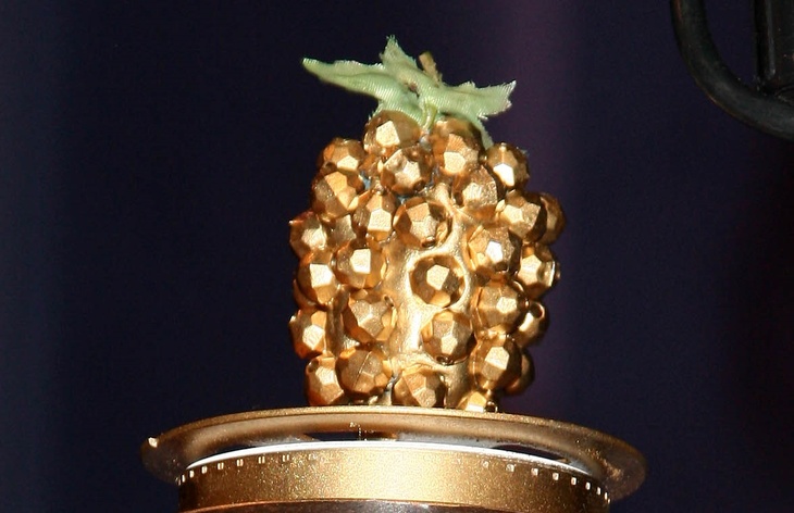 Премия «Золотая малина»