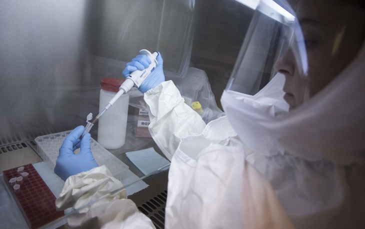 В двух европейских странах, расположенных недалеко от Италии, впервые зафиксировали коронавирус
