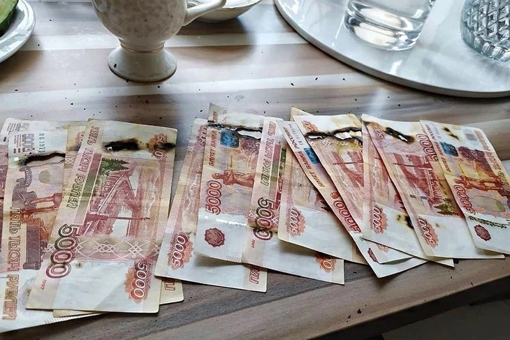 Обеззаразила: москвичка спалила в микроволновке 65 тысяч рублей