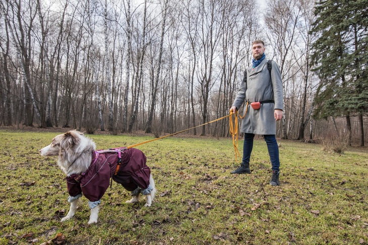 Москвичи сдают в аренду собак для выгула в карантин