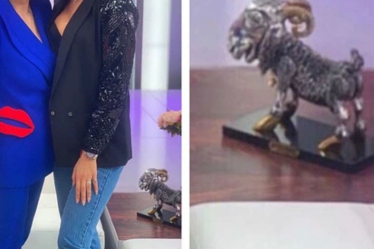 Петросян недоумевает, куда Степаненко дела дорогого козлика Петросян недоумевает, куда Степаненко дела дорогого козлика