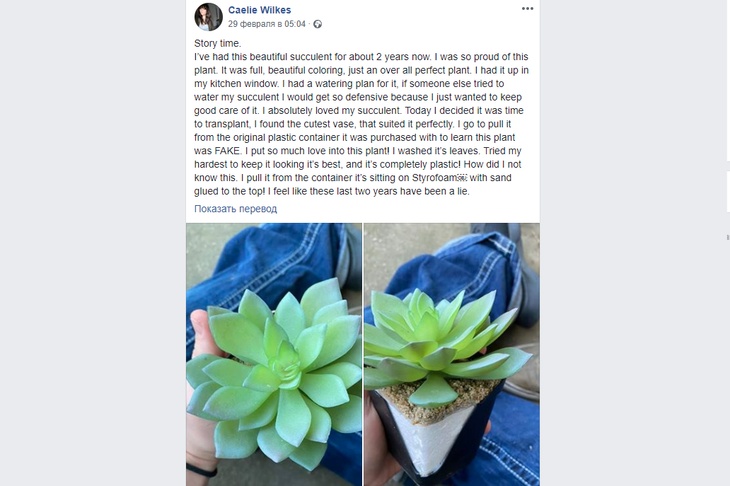 Facebook Кейли Уилкс