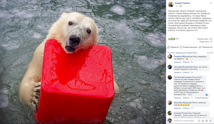 Медведица Аврора