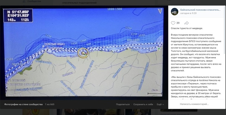 Медведь загнал туриста на дерева и съел его еду