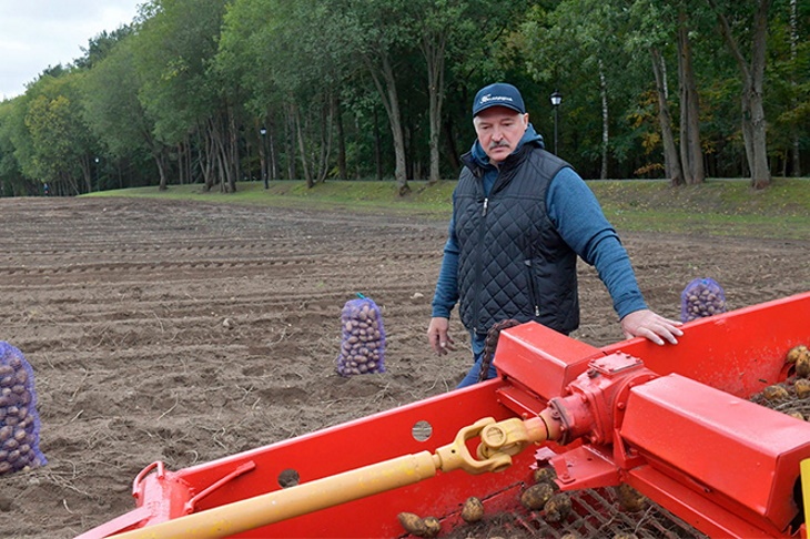 Александр Лукашенко