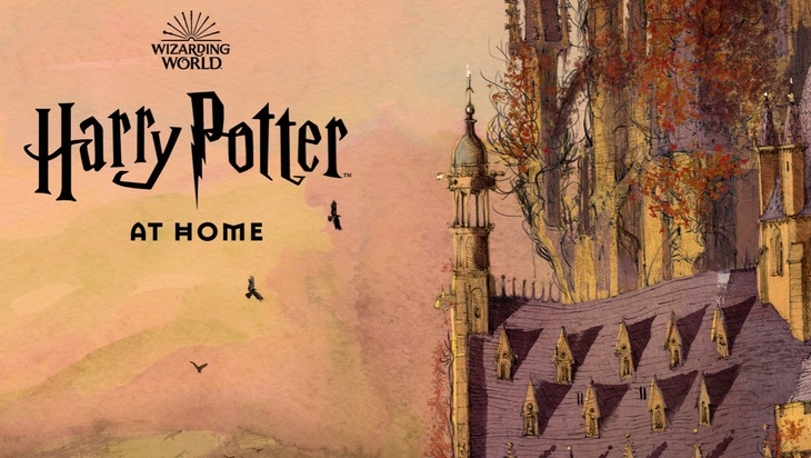Гарри Поттер дома - обложка сайта