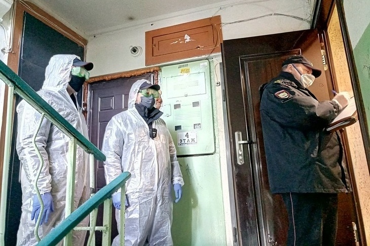 нарушители карантина